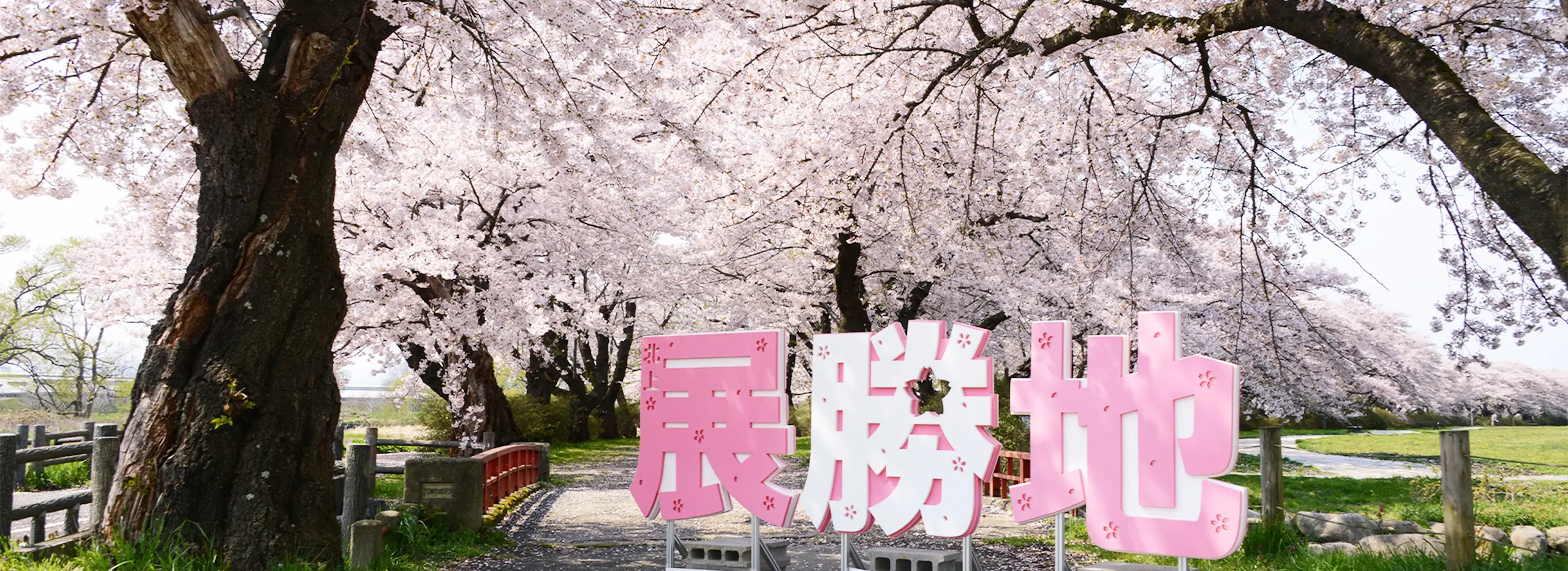 展勝地の写真